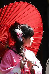 japanese luxurious   wire art bdsm